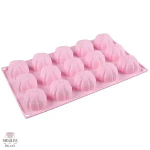 Moule à mini pâtisseries en silicone pour 15 créations