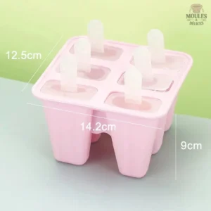Moule à Glaces Professionnel en Silicone
