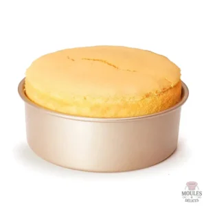 Moule à gâteau pratique avec fond amovible pour un démoulage facile
