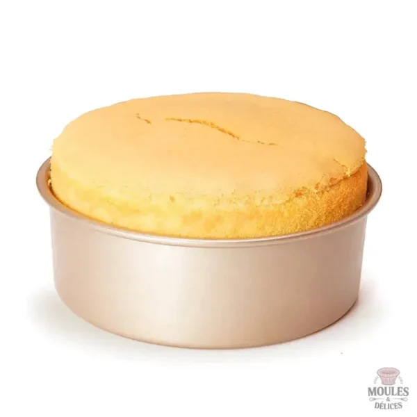 Moule à gâteau pratique avec fond amovible pour un démoulage facile