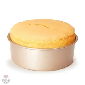 Moule à gâteau flexible pour un démoulage facile et propre