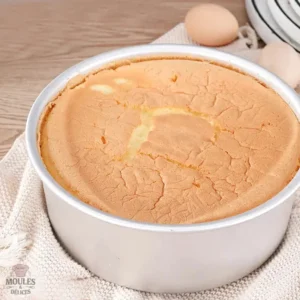 Moule à Manqué idéal pour gâteaux individuels