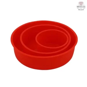 Moule en Silicone pour gâteaux et desserts variés