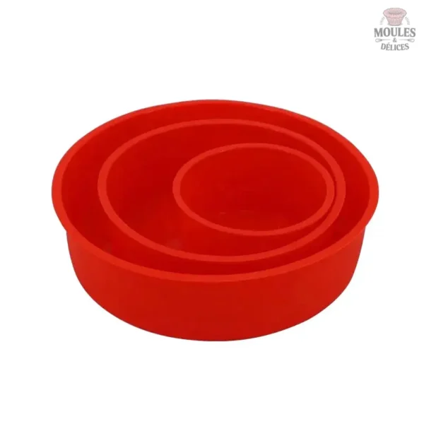 Moule en Silicone pour gâteaux et desserts variés