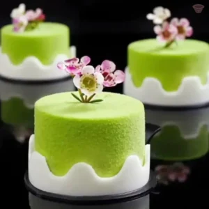 Moule à Mousse en Silicone pour desserts créatifs