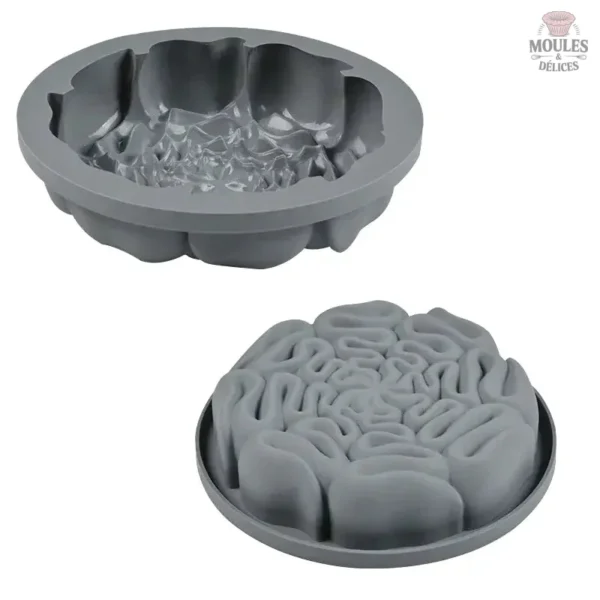 Moule pâtissier idéal pour vos desserts maison