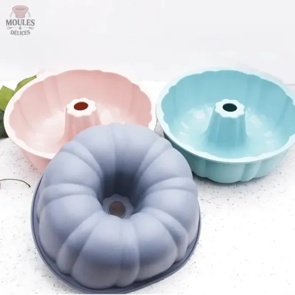 Moule en Silicone pour desserts savoureux