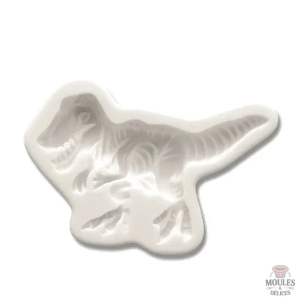 Moule à chocolat en silicone dinosaure amusant