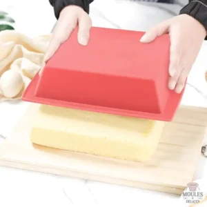 Moule à pâtisserie en silicone pour génoise