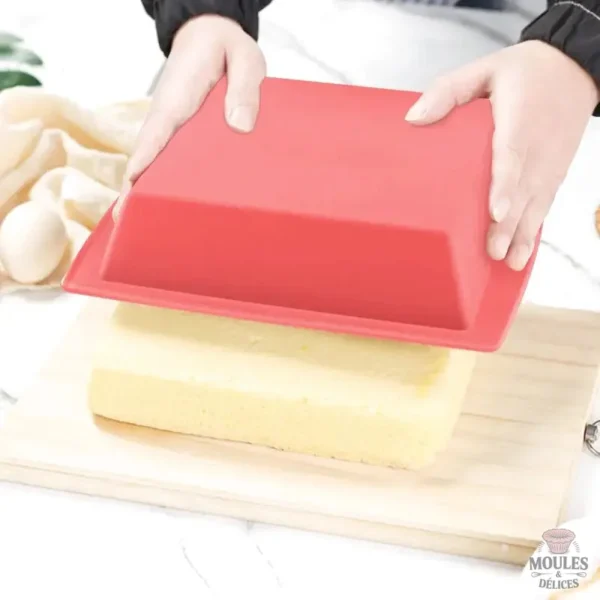 Moule à pâtisserie en silicone pour génoise